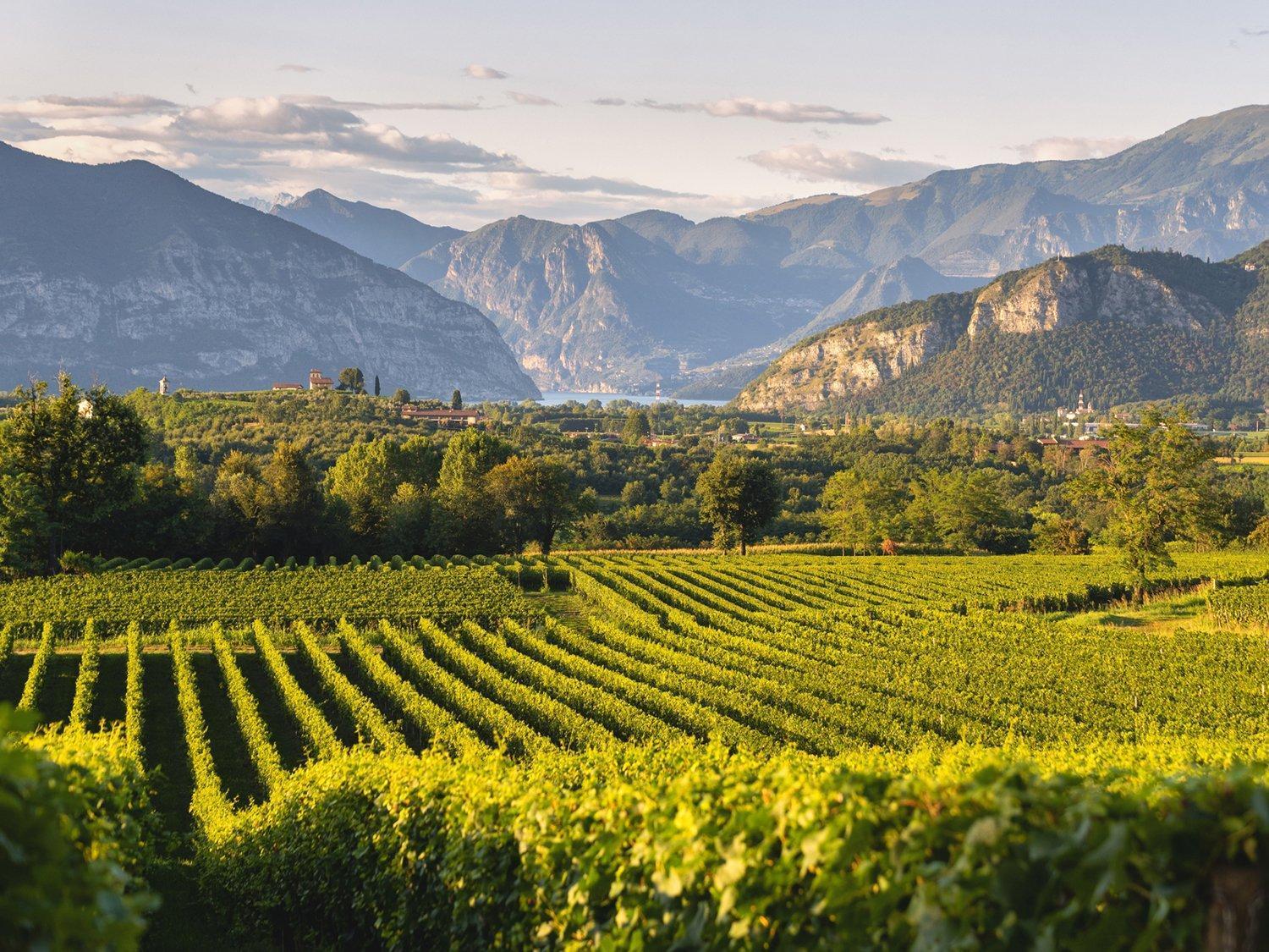 La Corte Del Bona - Vicino Alle Cantine E A Circa 15 Minuti Dal Lago Di Iseo - Appartement Erbusco Buitenkant foto
