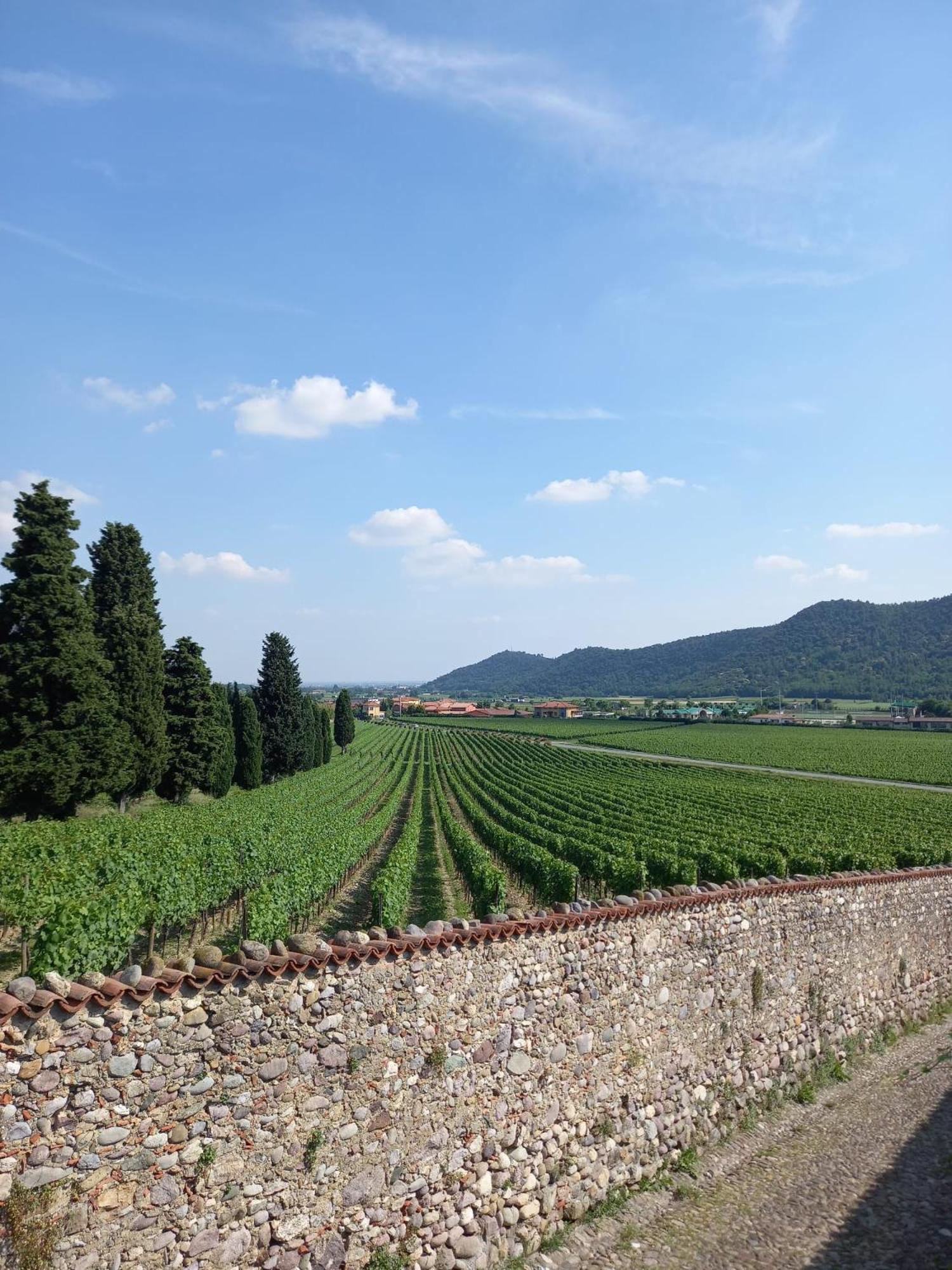 La Corte Del Bona - Vicino Alle Cantine E A Circa 15 Minuti Dal Lago Di Iseo - Appartement Erbusco Buitenkant foto